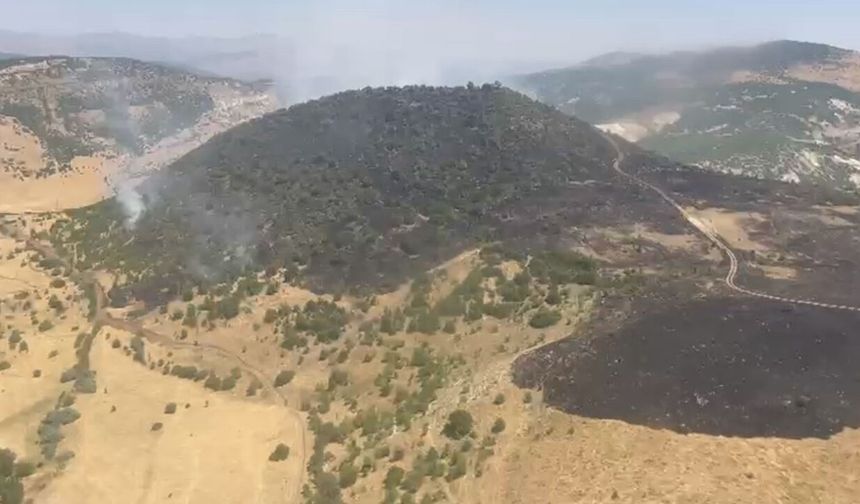 Karakoçan'da Korkutan Orman Yangını