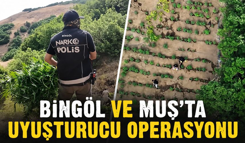 Bingöl ve Muş’ta Uyuşturucu Operasyonu