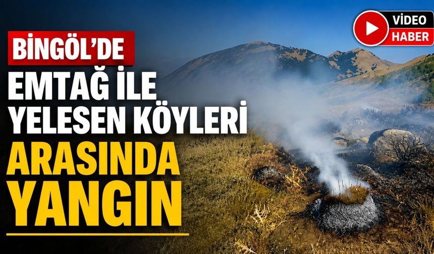 Emtağ ile Yelesen Köyleri Arasında Yangın