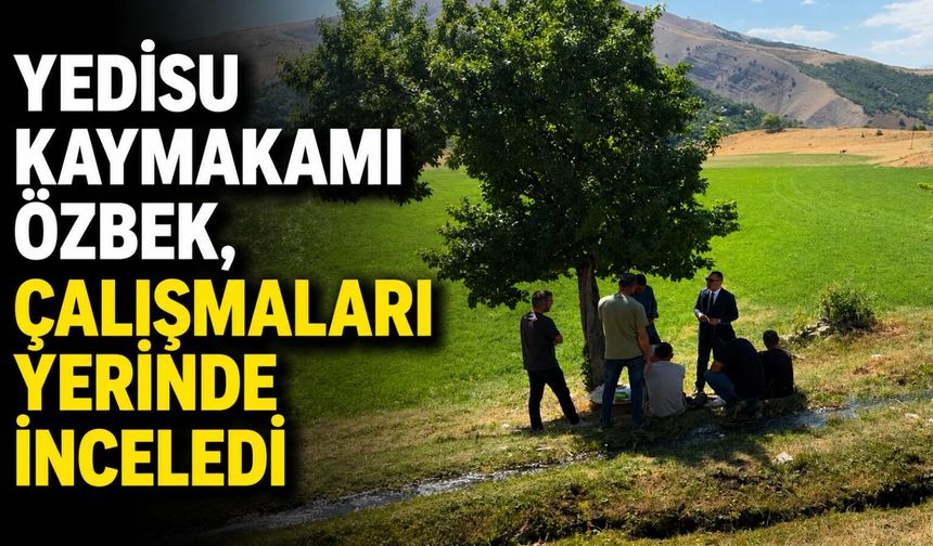 Yedisu Kaymakamı Özbek, Çalışmaları Yerinde İnceledi
