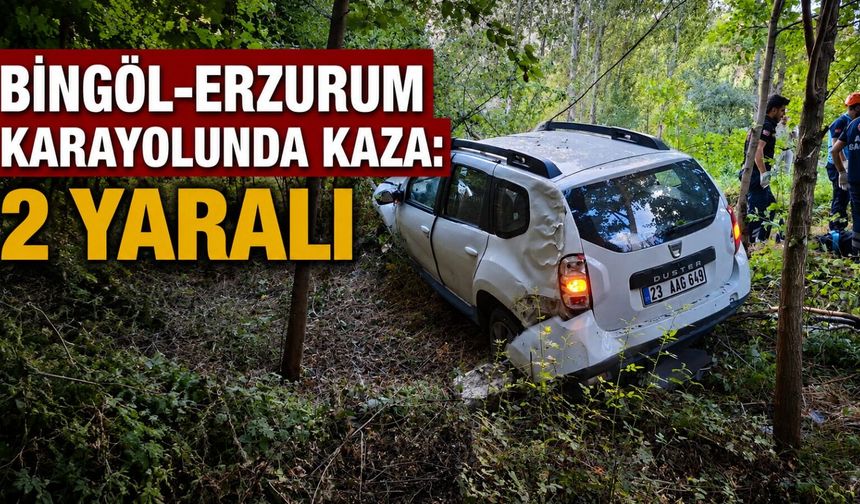 Bingöl-Erzurum Karayolunda Kaza: 2 Yaralı