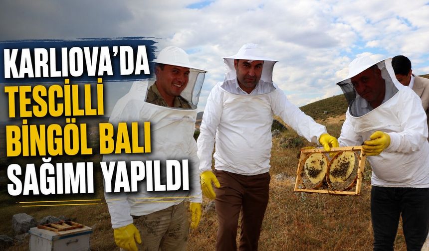 Karlıova’da Tescilli Bingöl Balı Sağımı Yapıldı
