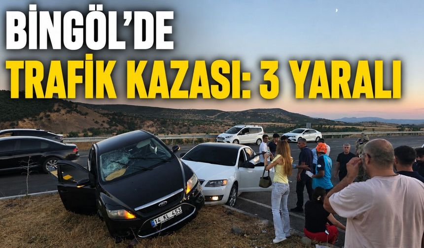 Bingöl-Muş Karayolunda Trafik Kazası: 3 Yaralı