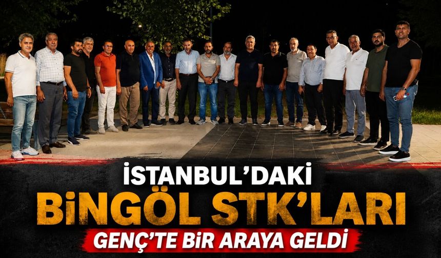 İstanbul’daki Bingöl STK’ları Genç’te Bir Araya Geldi