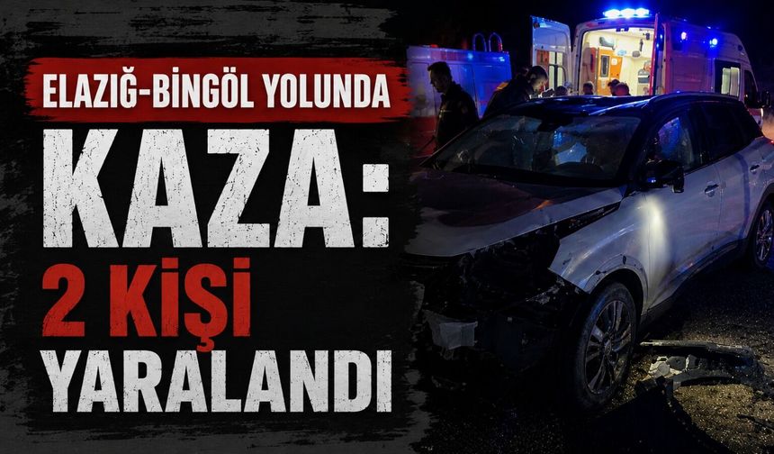Elazığ-Bingöl Yolunda Kaza: 2 Kişi Yaralandı