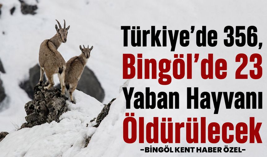 Türkiye’de 356, Bingöl’de 23 Yaban Hayvanı Öldürülecek