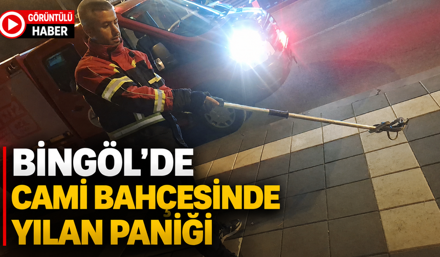 Bingöl’de Cami Bahçesinde Yılan Paniği