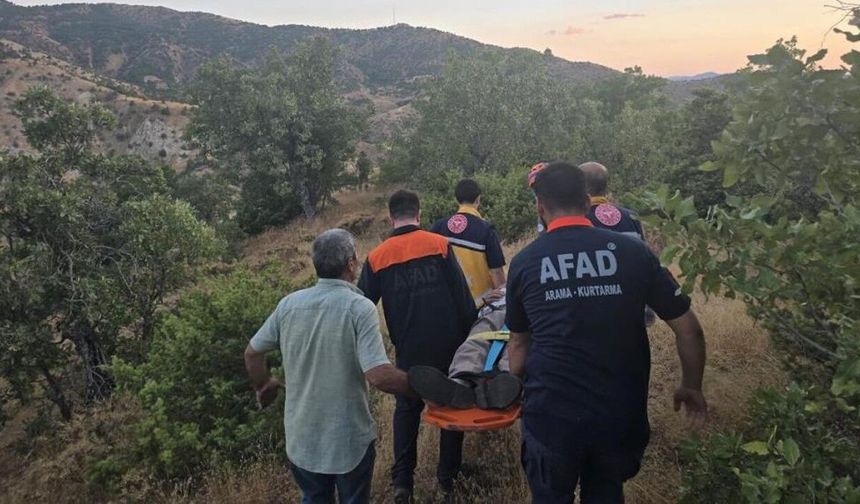 Bingöl'de Kaybolan Şahıs Ormanlık Alanda Bulundu