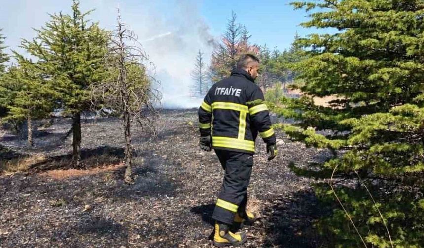 Elazığ'da Korkutan Örtü Yangını