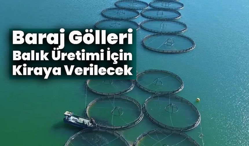 Baraj Gölleri Balık Üretimi İçin Kiraya Verilecek