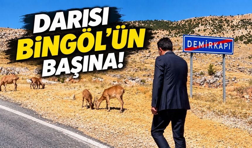 Darısı Bingöl’ün Başına!