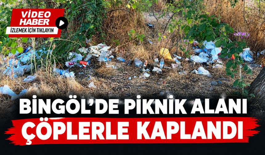 Bingöl’de Piknik Alanı Çöplerle Kaplandı