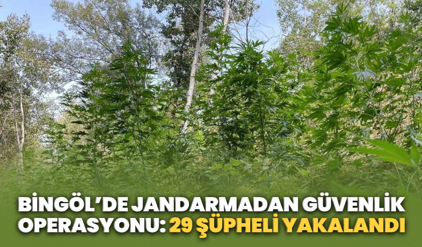Bingöl’de Jandarmadan Güvenlik Operasyonu: 29 Şüpheli Yakalandı