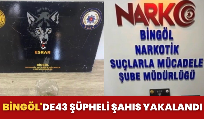 Bingöl'de 43 Şüpheli Şahıs Yakalandı