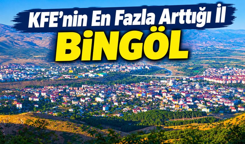 KFE’nin En Fazla Arttığı İl Bingöl