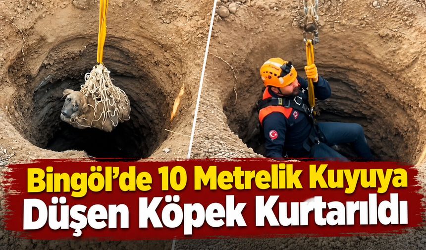 Bingöl’de 10 Metrelik Kuyuya Düşen Köpek Kurtarıldı