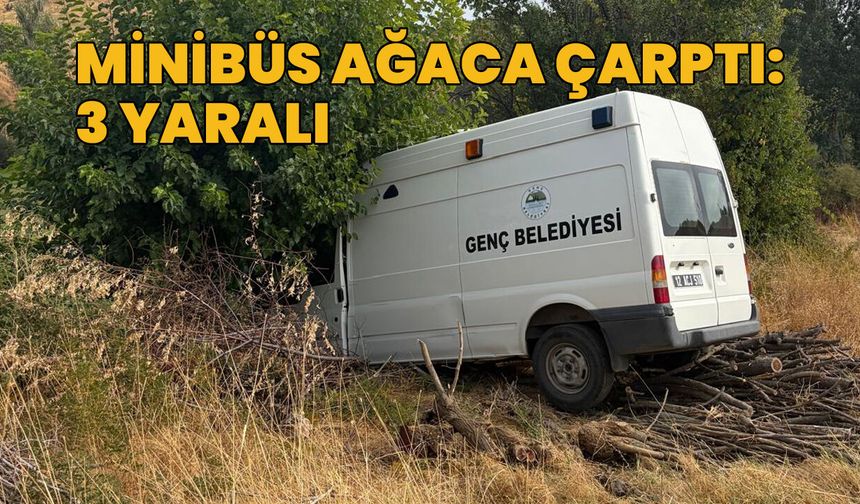 Genç'te Trafik Kazası: 3 Yaralı