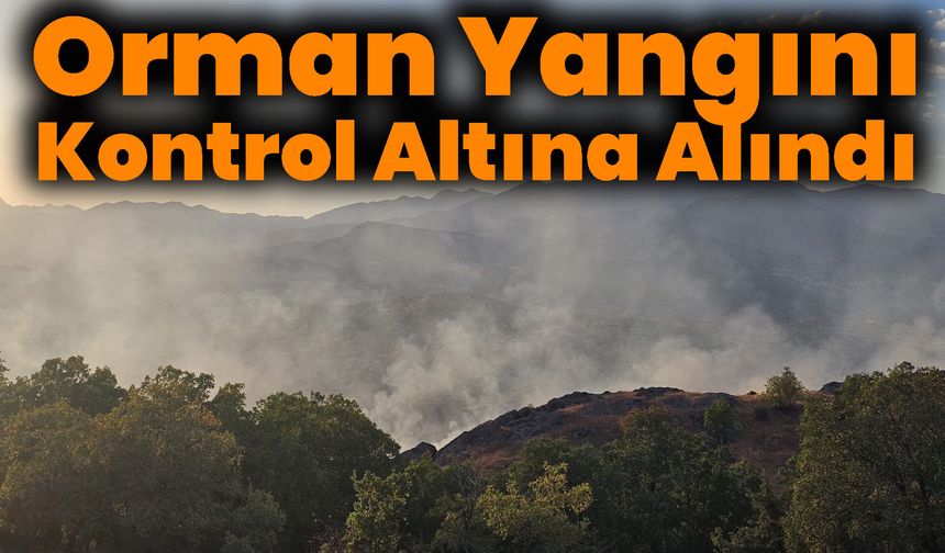 Bingöl'de Çıkan Orman Yangını Kontrol Altına Alındı