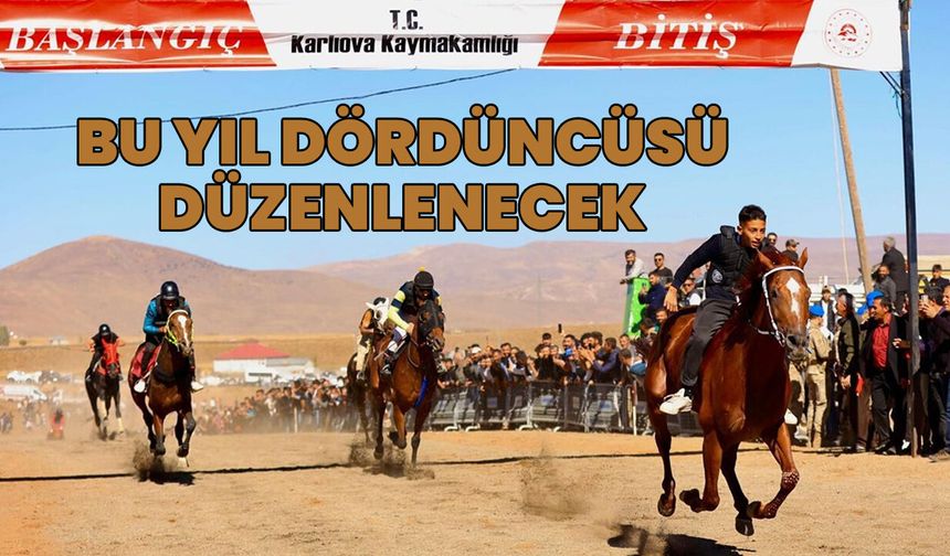 Bingöl'de Bu Yıl Dördüncüsü Düzenlenecek: Toklular At Yarışları