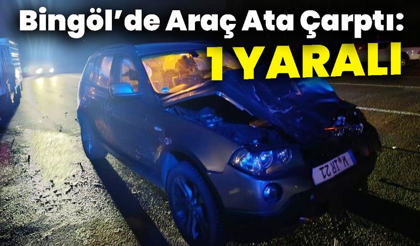 Bingöl’de Araç Ata Çarptı: 1 Yaralı