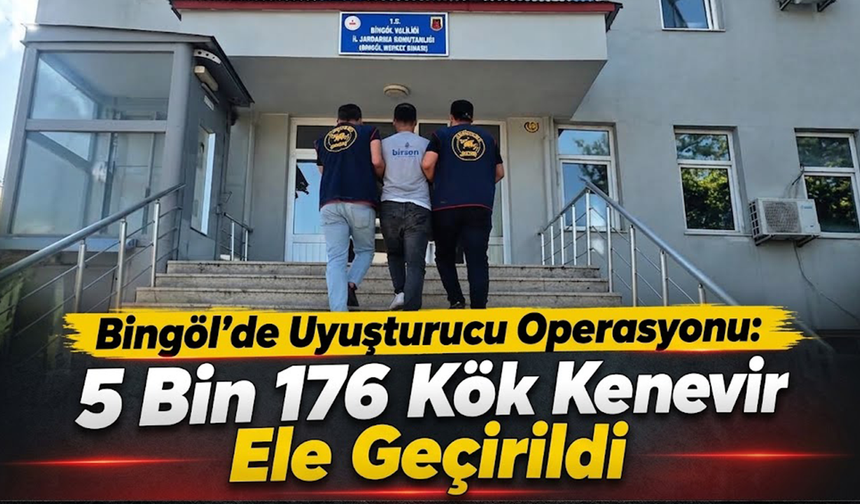 Bingöl’de Uyuşturucu Operasyonu: 5 Bin 176 Kök Kenevir Ele Geçirildi