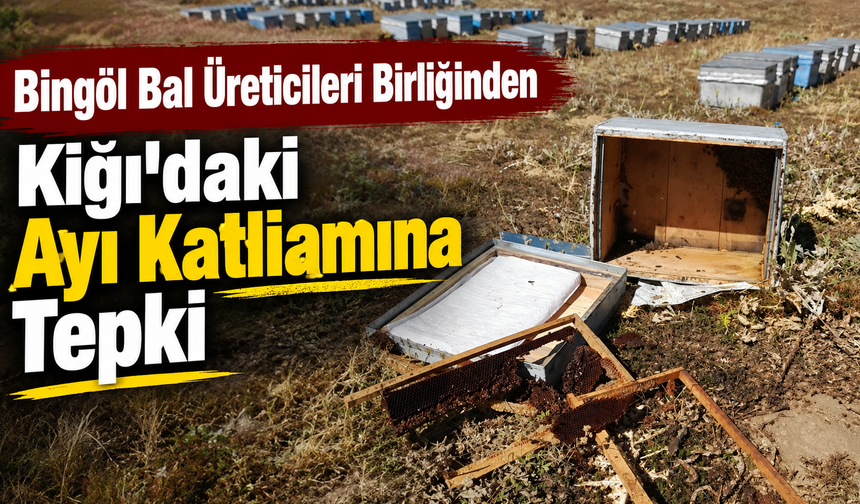 Bingöl Bal Üreticileri Birliğinden Kiğı’daki Ayı Katliamına Tepki