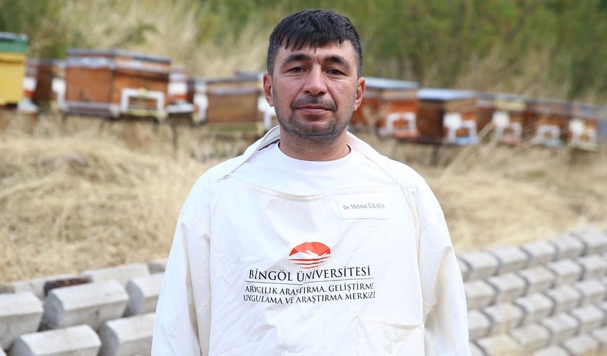 Arıcılar, Sonbaharda Eşek Arılarıyla Mücadele Ediyor