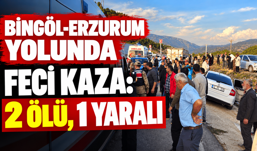 Bingöl-Erzurum Yolunda Feci Kaza: 2 Ölü, 1 Yaralı
