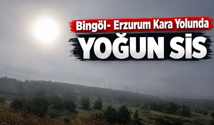 Bingöl- Erzurum Kara Yolunda Yoğun Sis