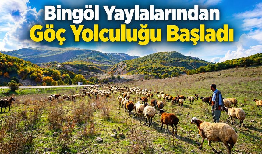 Bingöl Yaylalarından Göç Yolculuğu Başladı