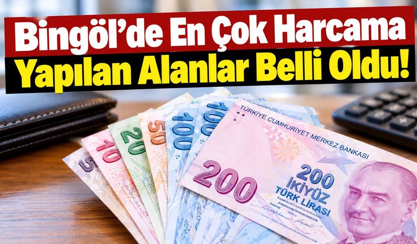 Bingöl’de En Çok Harcama Yapılan Alanlar Belli Oldu!
