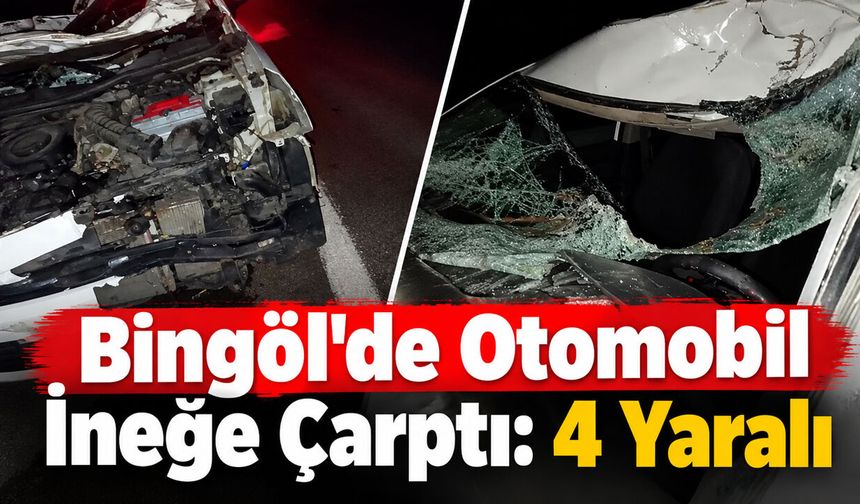 Bingöl'de Otomobil İneğe Çarptı: 4 Yaralı