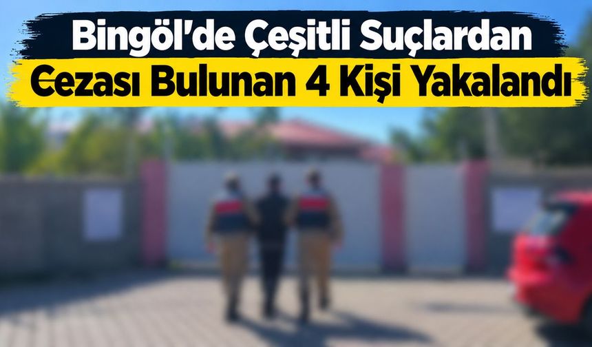 Bingöl’de Çeşitli Suçlardan Cezası Bulunan 4 Kişi Yakalandı
