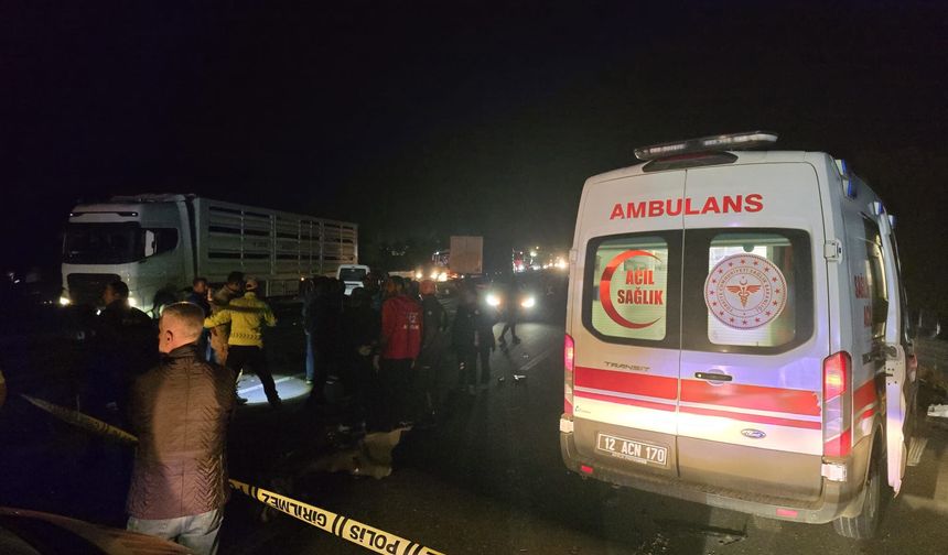 Genç Köprüsü'nde Feci Kaza: 2 Ölü, 2 Yaralı