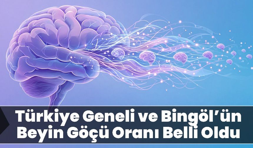 Türkiye Geneli ve Bingöl’ün Beyin Göçü Oranı Belli Oldu