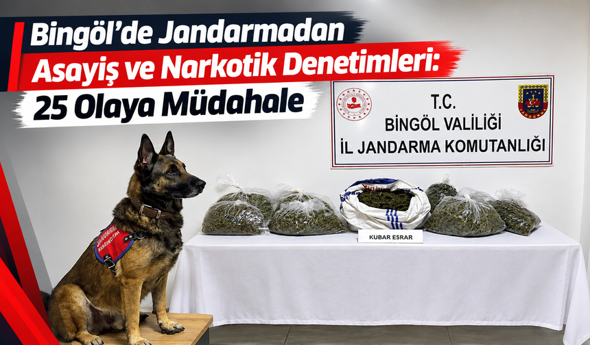 Bingöl’de Jandarmadan Asayiş ve Narkotik Denetimleri: 25 Olaya Müdahale