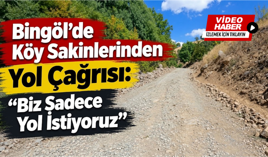 Bingöl’de Köy Sakinlerinden Yol Çağrısı: “Biz Sadece Yol İstiyoruz”