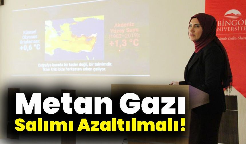 Metan Gazı Salımı Azaltılmalı!