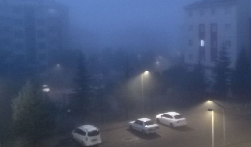 Bingöl Ovası'nda Yoğun Sis Etkili Oldu