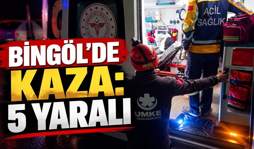 Bingöl’de Kaza: 5 Yaralı