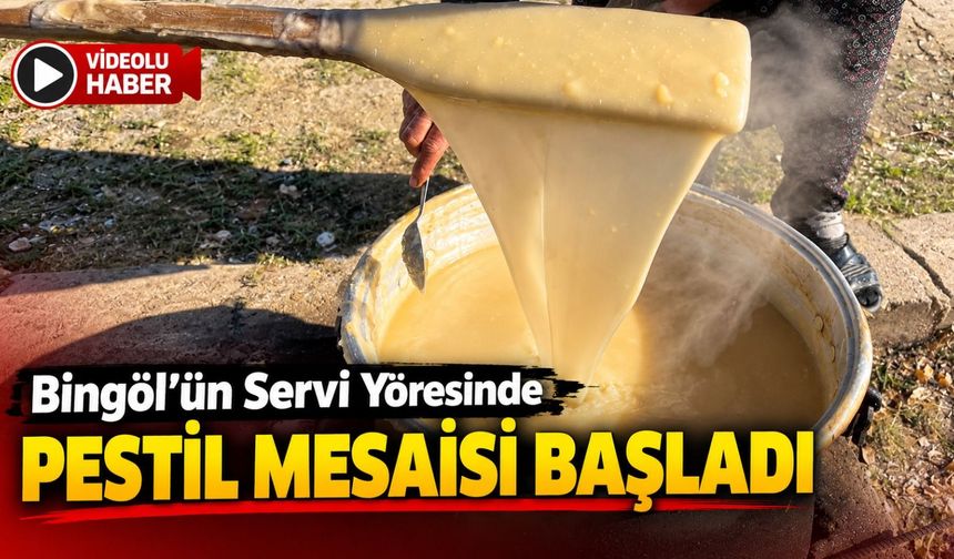 Bingöl Servi’de Geleneksel Pestil Mesaisi Başladı