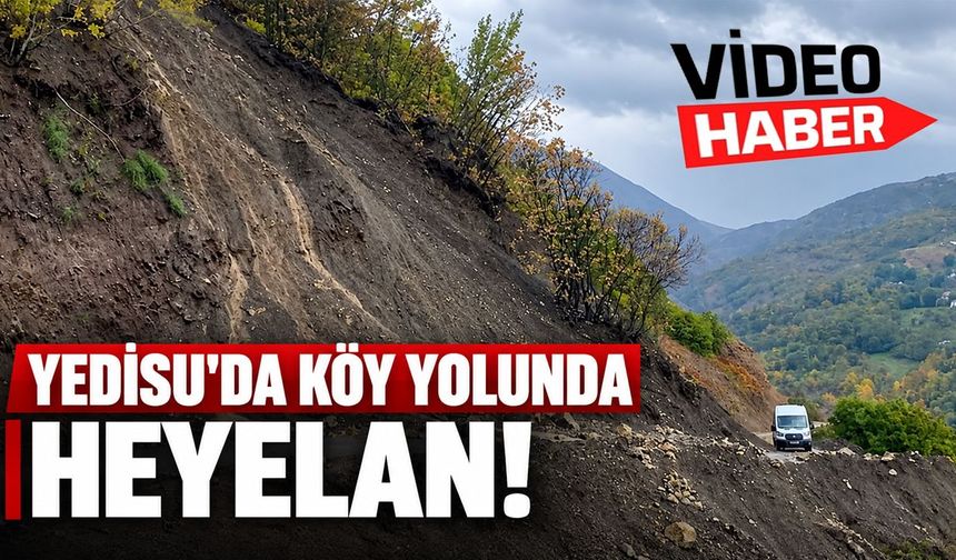 Yedisu'da Köy Yolunda Heyelan!