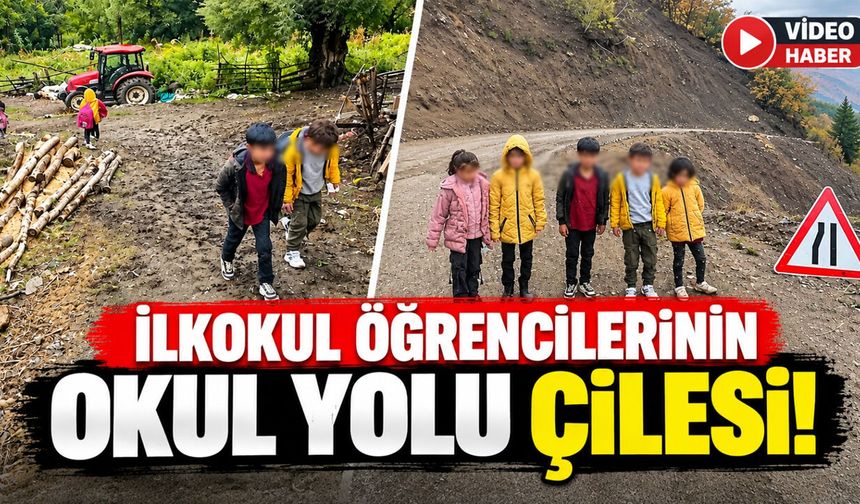 Yedisu'da Öğrencilerin Okul Yolu Çilesi: Derslerinden Geri Kalıyorlar!