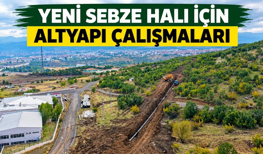 Yeni Sebze Hali İçin Altyapı Çalışmaları